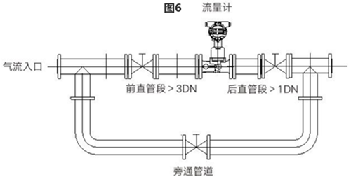 旋進旋渦流（liú）量計(圖6)